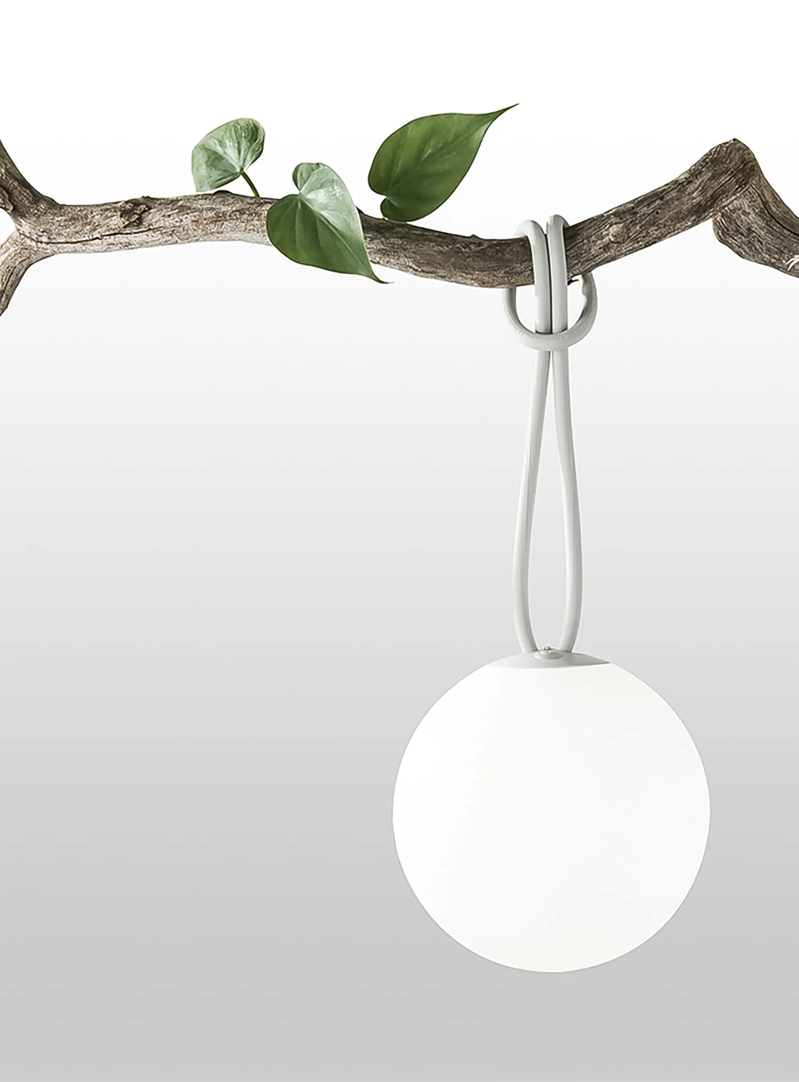 Bolleke Ambient Lighting - Image 10
