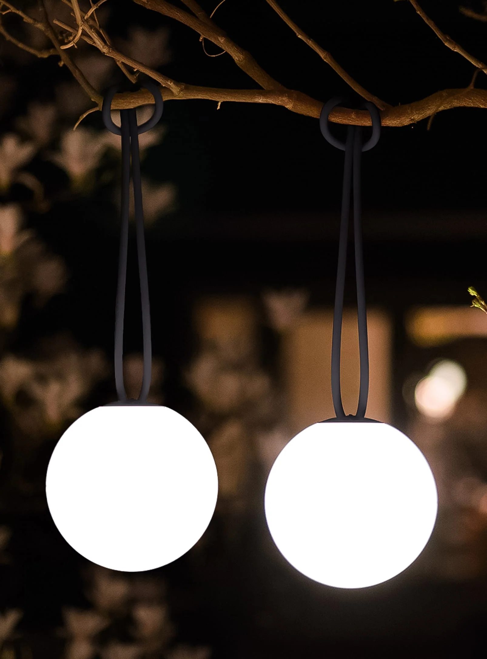 Bolleke Ambient Lighting - Image 3