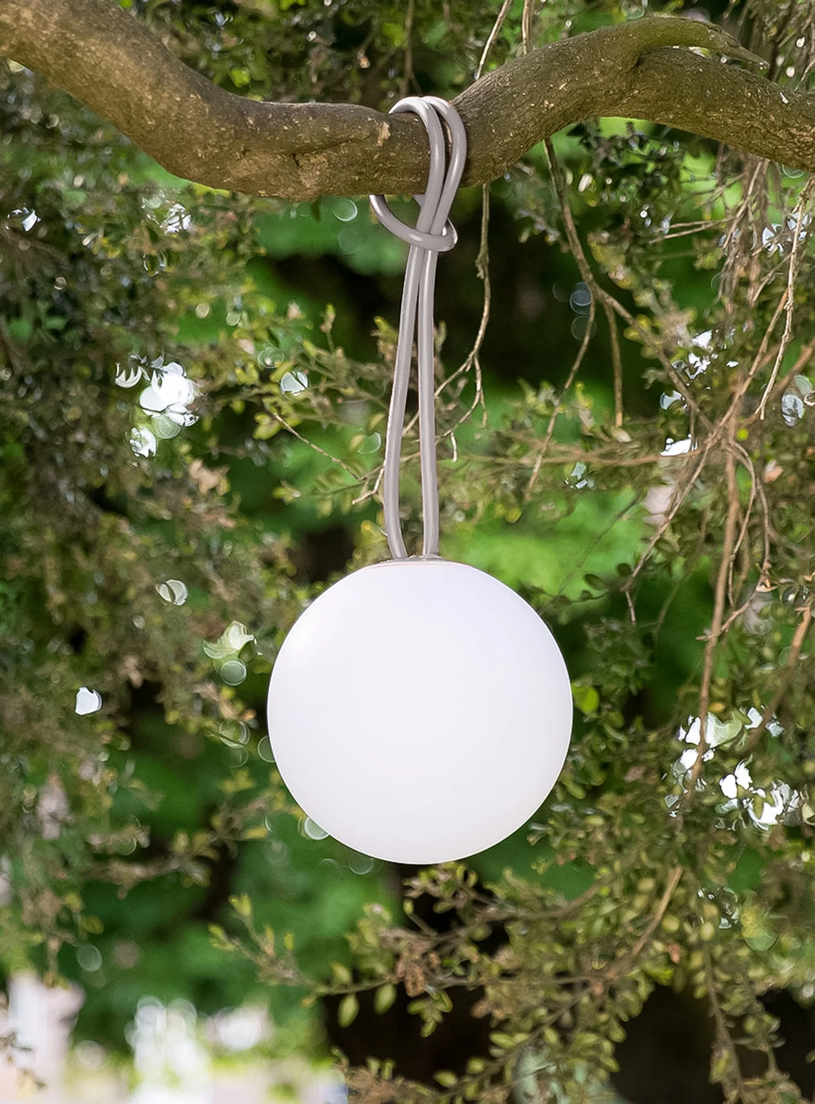 Bolleke Ambient Lighting - Image 6