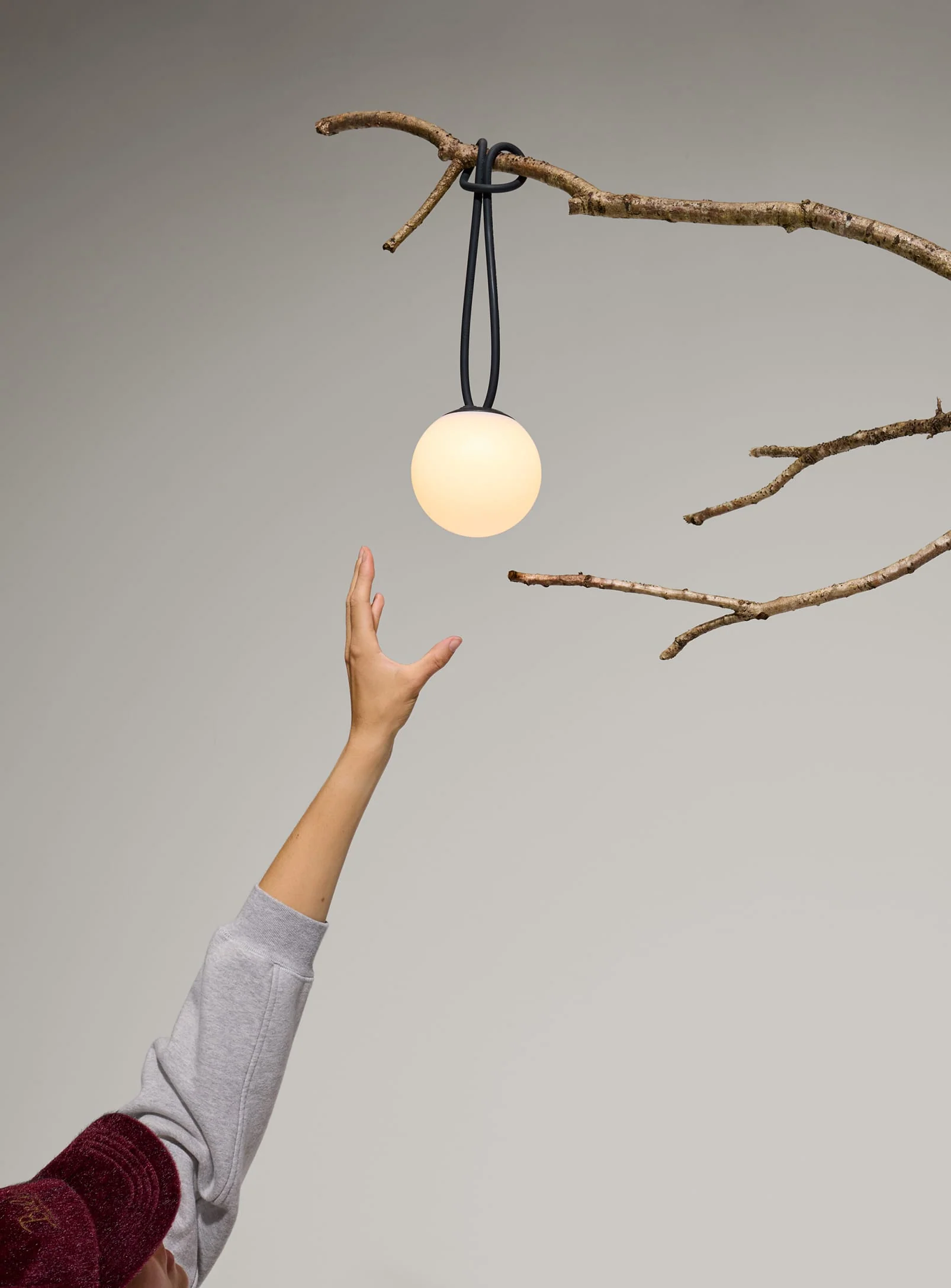 Bolleke la Surprise<br> Ambient Lighting - Image 4