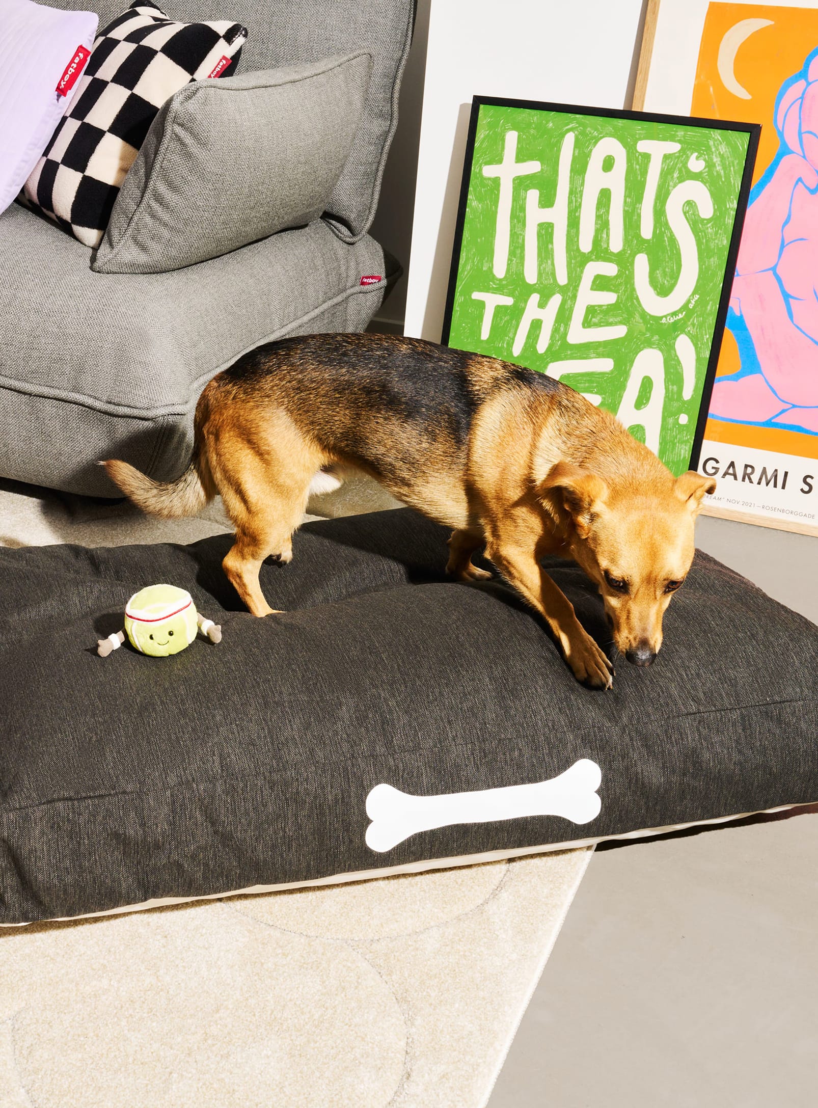 Doggielounge Olefin Dog Bed - Image 2
