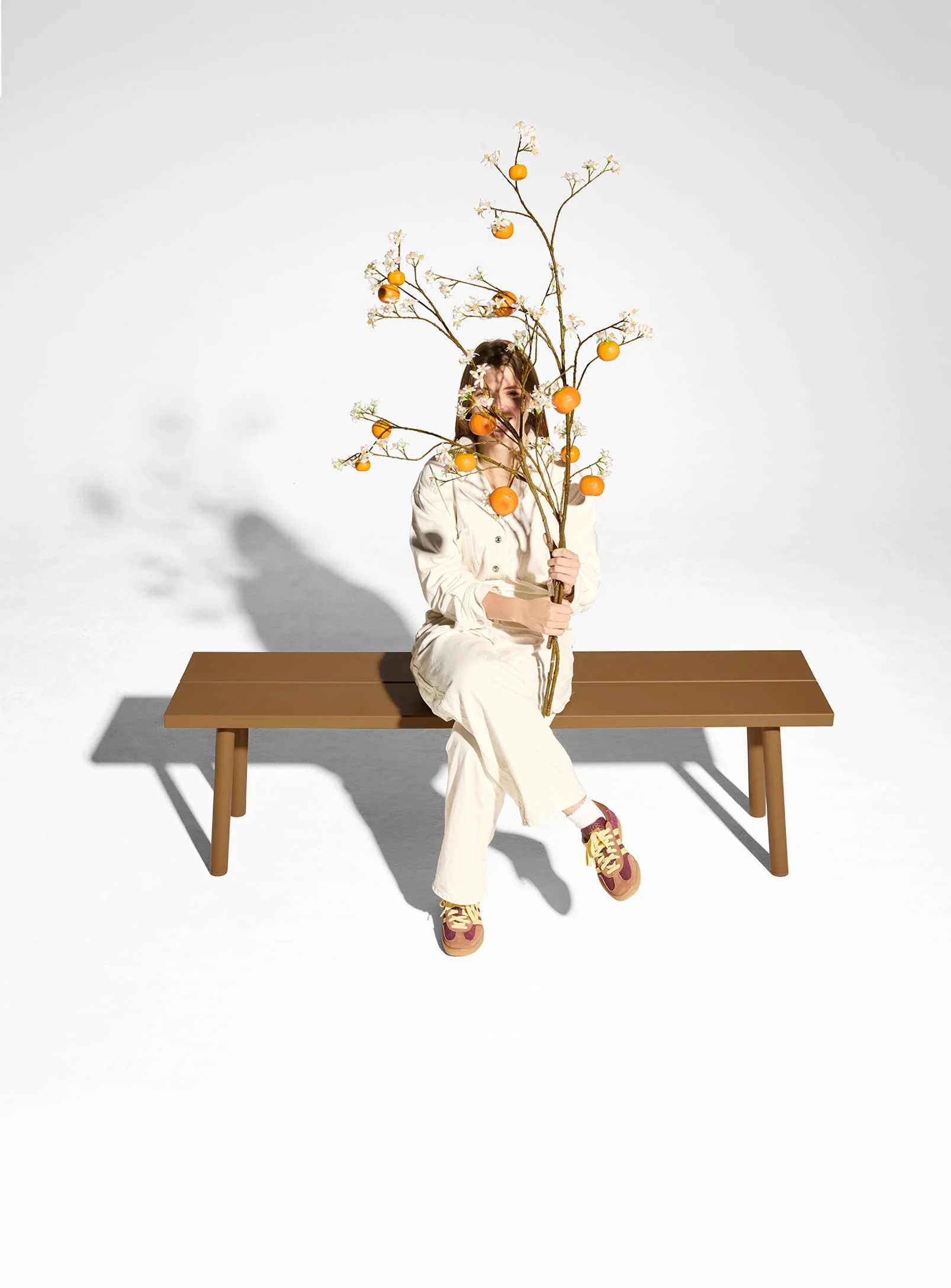 Fred's Bench - Image 4