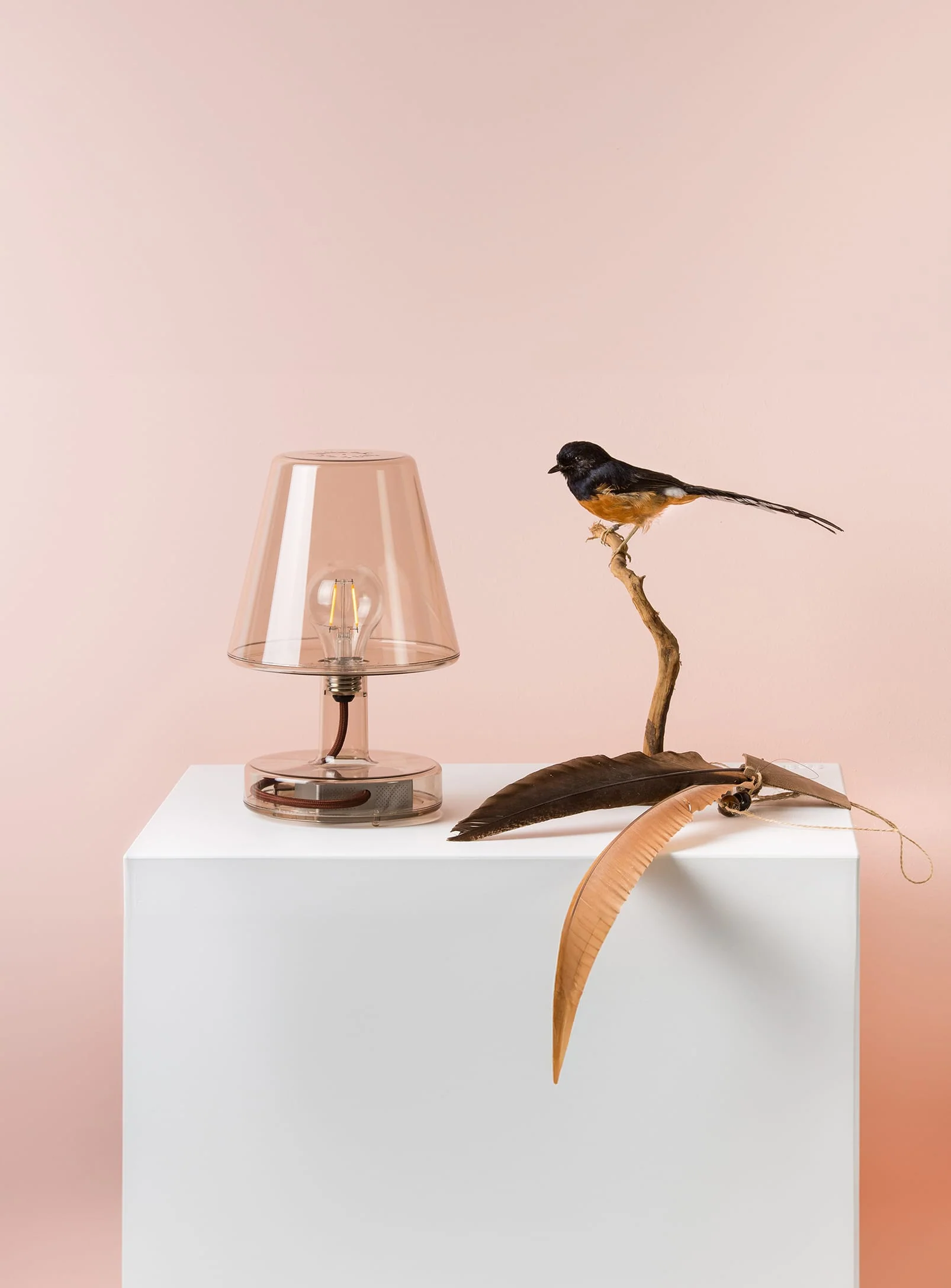 Transloetje Table Lamp - Image 5